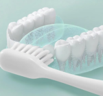 Special Care Toothbrush for Pregnant and Postpartum Women - 图片 6